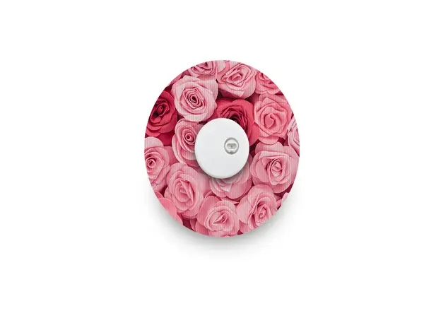 Vakker rosa rose