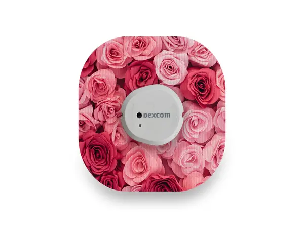 Vakker rosa rose